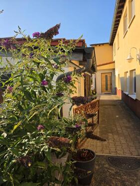 Foto - DHH in ruhiger Siedlungslage - 422.000,00&nbsp;EUR Kaufpreis, ca.&nbsp; 217,00&nbsp;m&sup2;