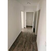 Kellergeschoss Wohnung 2 Zimmmer mit Terrasse Neubau - Mücke