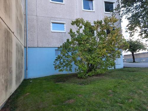 Foto - 4 - Zimmerwohnung zu vermieten von PRIVAT !!