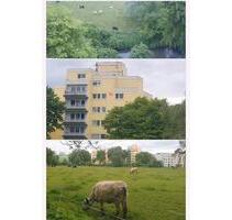 2-3 Zimmer Wohnung 89312 GÜNZBURG zu mieten