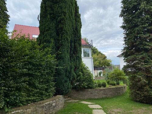 Foto - 6 Zimmer Einfamilienhaus zur Miete in Lohmar