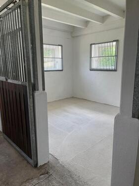 Foto - Lagerboxen, Lagerraum, Aufbewahrungsraum, Storage zu vermieten