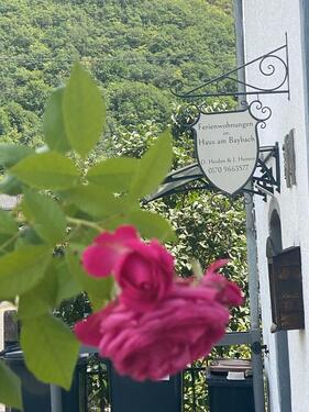 Foto - Ferienwohnung in Burgen an der Mosel