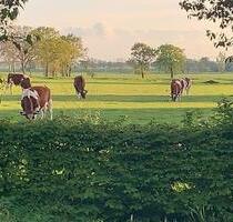 Familientraum unter Reet – ruhig & naturnah leben - Horst (Holstein)