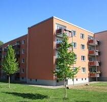 Gute Laune kann man jetzt mieten! VIVAWEST - Düsseldorf Stadtbezirk 8