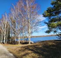 Idyllisches Wochenendgrundstück am See | Waldlage | Strand 250 m - Finsterwalde