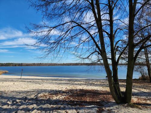 Foto - Einfamilienhaus in Finsterwalde