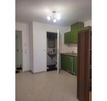 1 Zimmer Studentenwohnung TH-Bingen - Bingen am Rhein