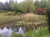 Foto - Villa zum Kaufen in Bottrop