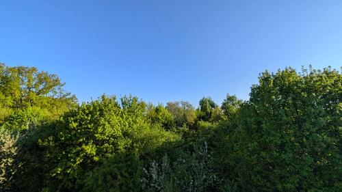 Foto - Etagenwohnung in Wolfsburg