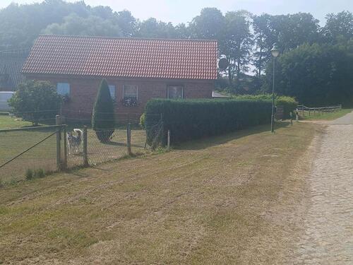 Foto - Doppelhaushälfte in Seehausen (Altmark) zum Kaufen