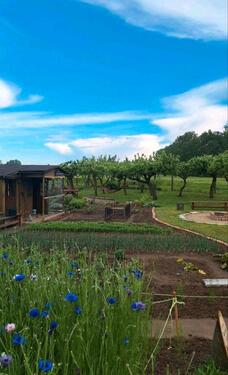 Foto - 5 Zimmer Einfamilienhaus zum Kaufen in Lindetal