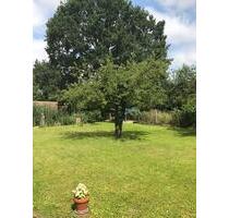 Vermietet wird eine gepflegte 3-Zi-Wohnung in 16225 Eberswalde