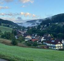 Kleine schöne Wohnung in Tonbach - Baiersbronn