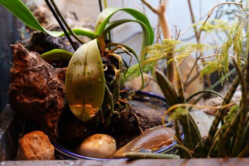 Foto - andere in Berlin