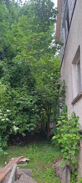 Foto - Einfamilienhaus in Sollstedt zum Kaufen