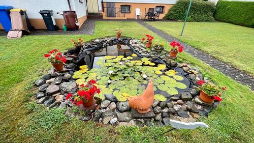 Foto - Einfamilienhaus in Hamm (Sieg) zur Miete