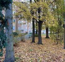 Nürnberg 90480 . 1 Zimmer Wohnung 31 m. Ab Sofort Oder ab 022026