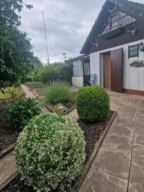 Foto - Schrebergarten in der Nähe vom Stadtpark