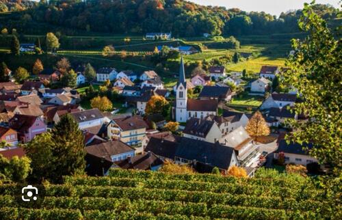 Foto - Winzerhof mir großem Garten im Herzen des Kaiserstuhls