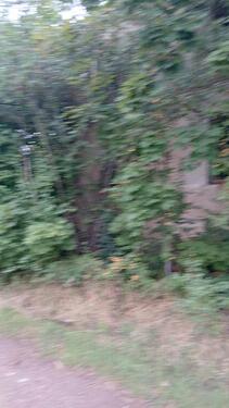 Foto - Haus mit Natur in Stehla Arzberg an der Elbe