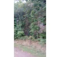 Haus mit Natur in Stehla Arzberg an der Elbe - Trittenheim