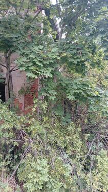 Foto - 5 Zimmer Einfamilienhaus zum Kaufen in Trittenheim