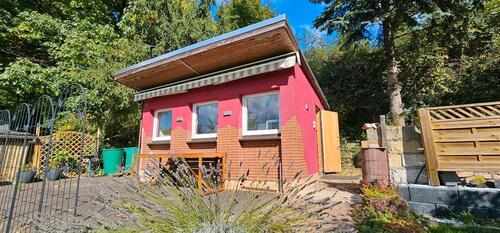 Foto - Garten Kleingarten Pachtgarten abzugeben