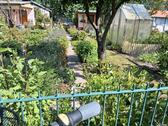 Foto - schöner Garten am grünen Strand