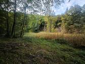 Foto - Idyllisches Waldgrundstück mit Bachlauf und Teich Fockenbachtahl
