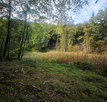 Idyllisches Waldgrundstück mit Bachlauf und Teich Fockenbachtahl - Straßenhaus
