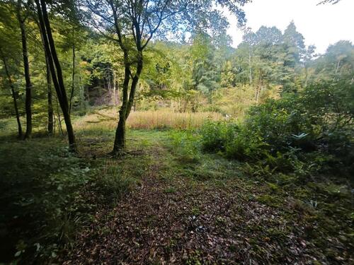 Foto - Einfamilienhaus zum Kaufen in Straßenhaus