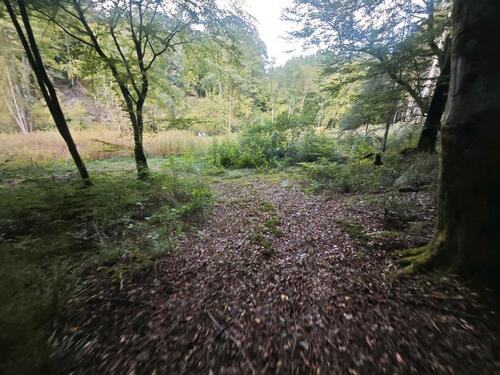 Foto - Einfamilienhaus in Straßenhaus