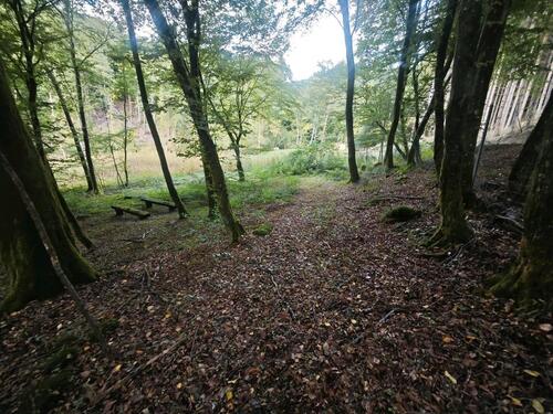 Foto - Einfamilienhaus in Straßenhaus zum Kaufen