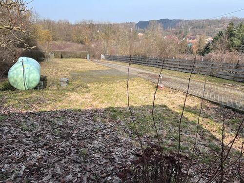 Foto - 4 Zimmer Bungalow in Seegebiet Mansfelder Land