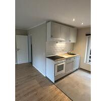 Apartment Wohnung Altstadt Speyer - mit Domblick!