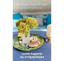 Appartment mit Panoramablick über Aschaffenburg bis nach Frankfur