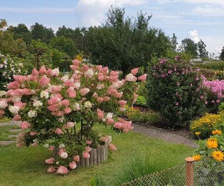 Foto - Grundst&uuml;ck in Hoyerswerda