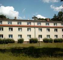 Charmante 3-Raumwohnung im Grünen zu vermieten ! - Ludwigslust