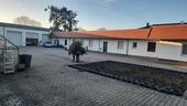 Foto - Mehrfamilien haus zu verkaufen 380m² 3 Wohnungen
