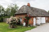 Foto - Ferienhaus Nordsee 4 Personen Hunde erlaubt Sauna Kamin Zaun