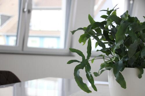 Foto - Etagenwohnung zur Miete in Hilden