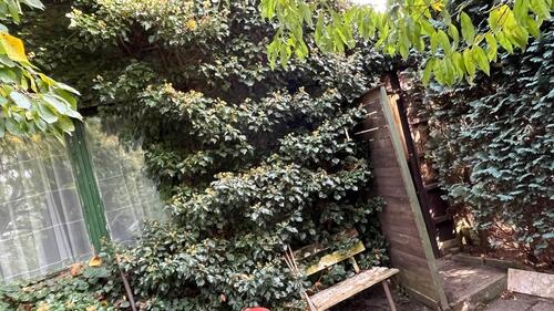 Foto - Grundstück in Penzlin zur Miete