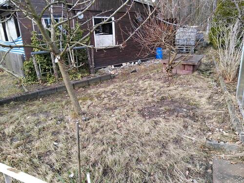 Foto - Garten Pachtgarten Kleingarten Verein