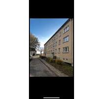 4-Raum Wohnung - 677,00 EUR Kaltmiete, in Usedom (PLZ: 17406)