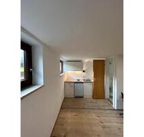 Gemütliches 1-Zimmer-Appartement in Passau - Niederviehbach