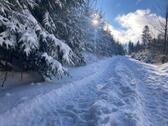 Foto - 1 Zimmer Etagenwohnung zum Kaufen in Schönwald im Schwarzwald