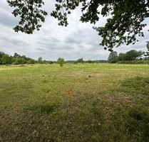 Wunderschöne Bauplätze, Bauland nähe Sanitz! - Marlow