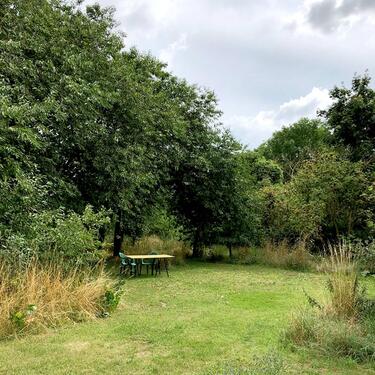 Foto - Schöne 2–Zimmer–Wohnung in der Uckermark zu vermieten