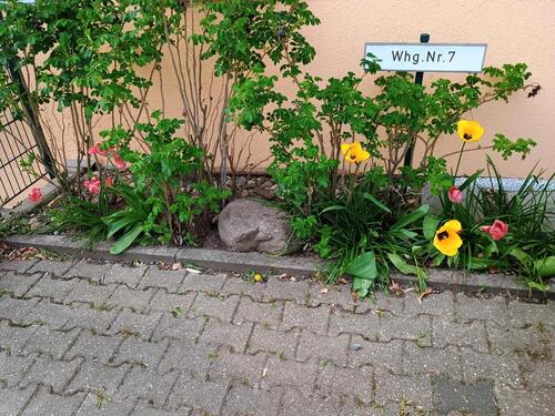 Foto - andere in Essen zur Miete